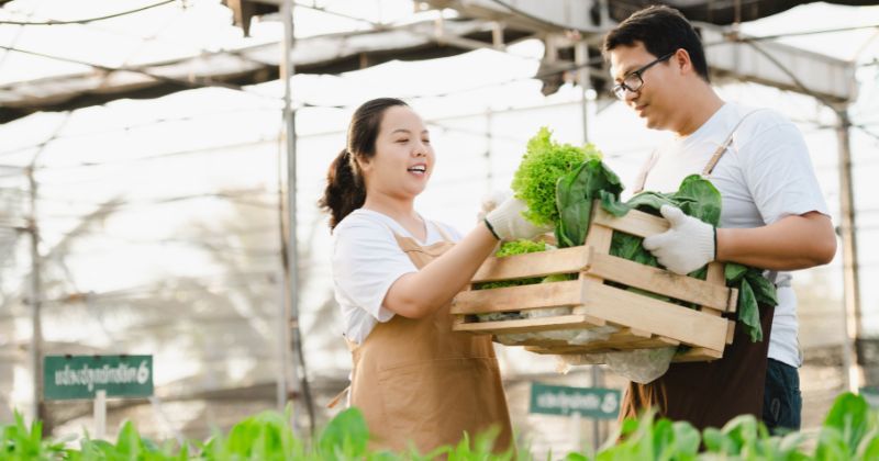 Pembagian Ilmu Ekonomi: Memahami Aspek Ekonomi Mikro dan Makro