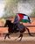 4. Dara Arafah berkuda sambil membawa bendera Palestina