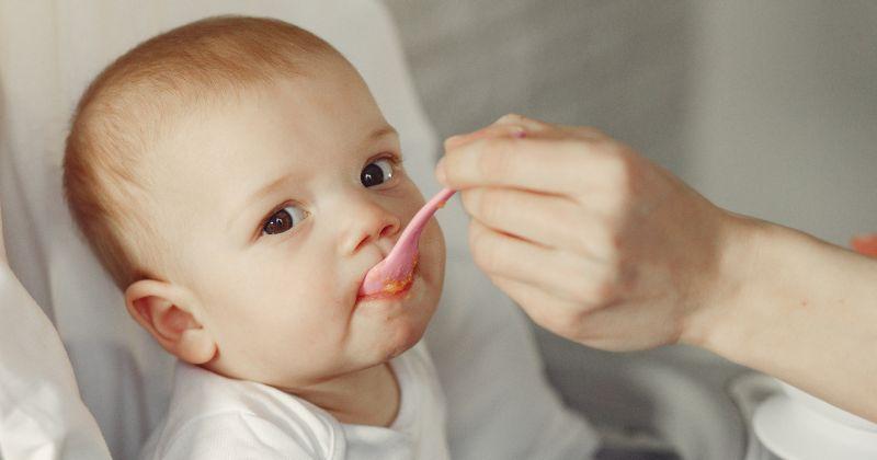 Tekstur Makanan Bayi 8 Bulan Belum Tumbuh Gigi