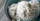 8. Es Krim Kacang Hijau