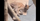 1. Kronologi kucing karakal Okin ditemukan terlantar oleh Rachel Vennya