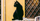 2. Warna kucing hitam