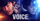 10. Voice (2017)