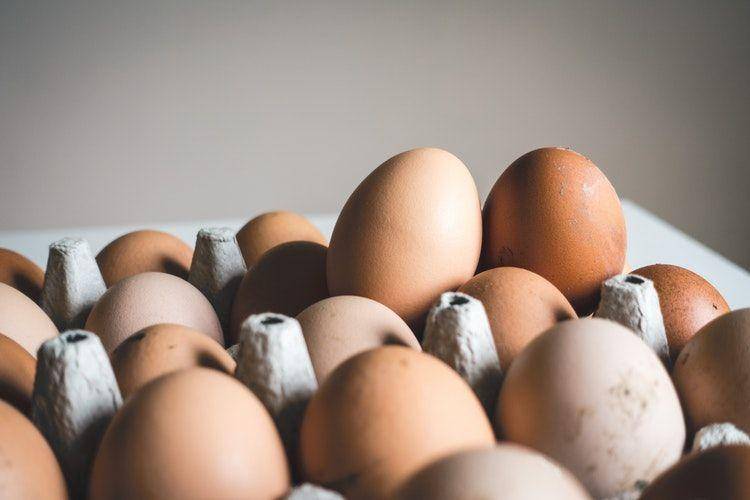 unsplash.com/foodiesfeed