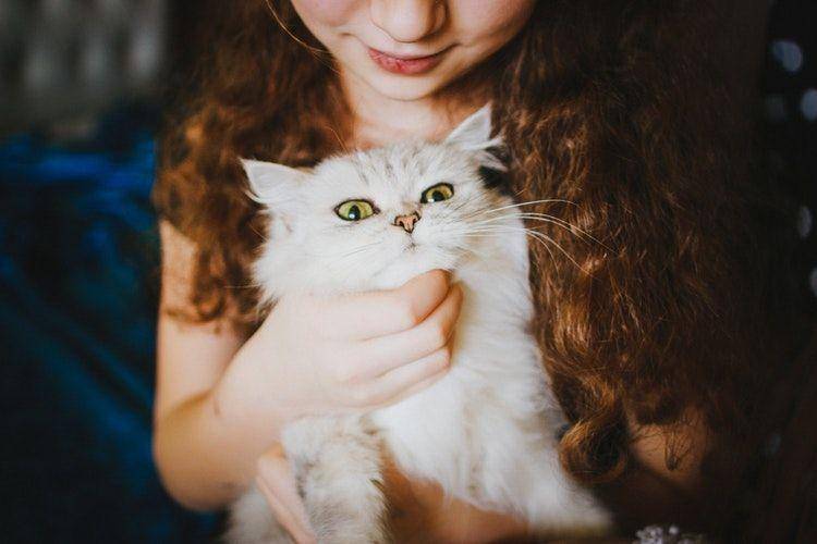 Freepik