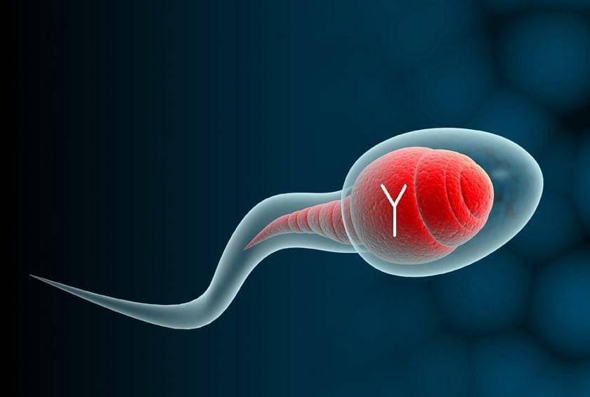 Kromosom Y penentu kehamilan bayi laki-laki - www.webme.com
