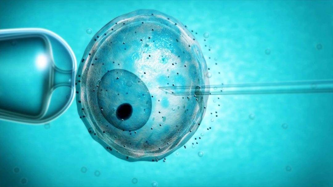 Inseminasi buatan bisa tentukan jenis kelamin bayi - www.youtube.com