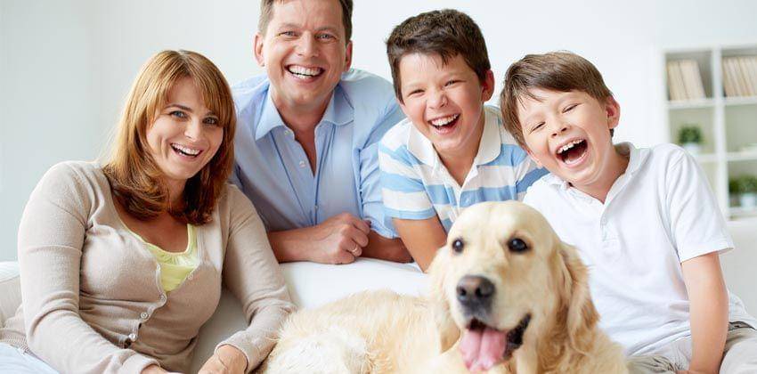 ruang keluarga
- www.modernmechhvac.com