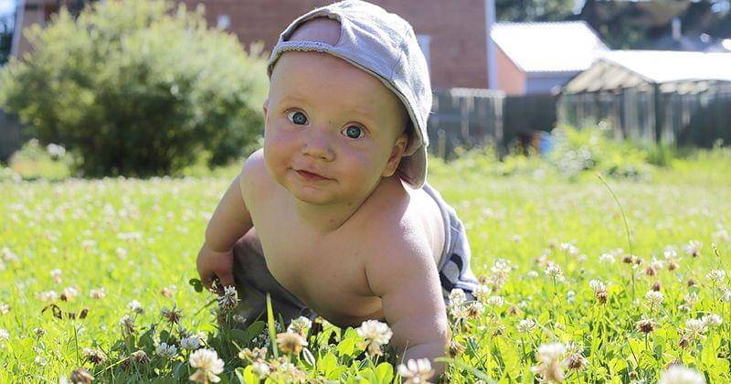 pixabay.com/luidmilakot