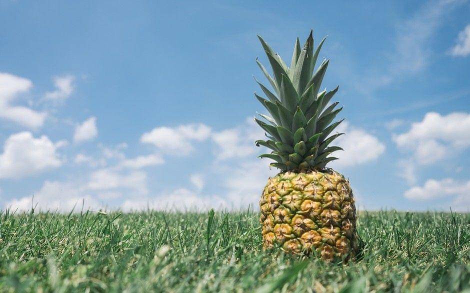 Beberapa makanan disebut-sebut dapat menggugurkan kandungan jika dikonsumsi saat hamil muda. - pixabay.com/pineapplesupplyco