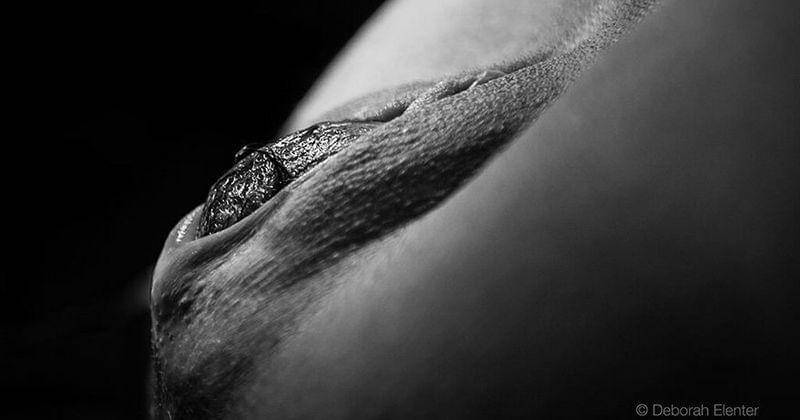 demilked.com/Deborah Elenter