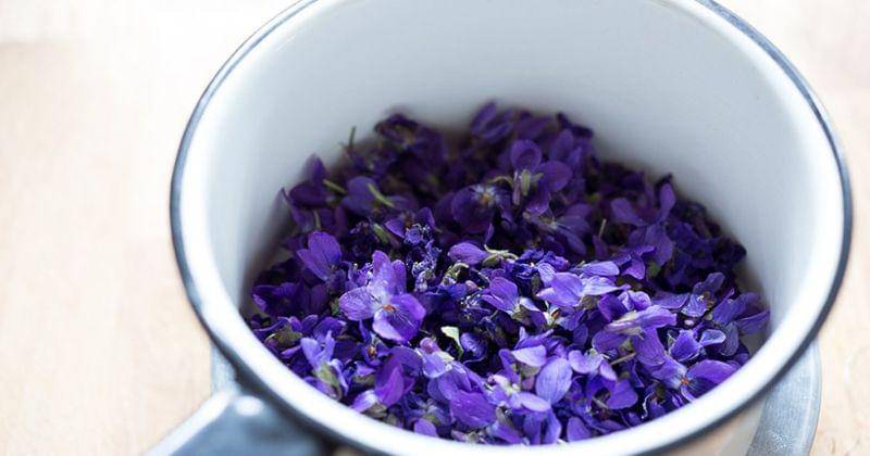 naturallivingideas.com