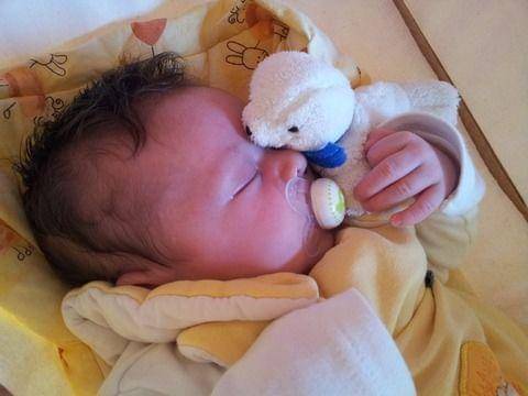 Boneka ini ngga boleh ketinggalan!

 - pxhere.com