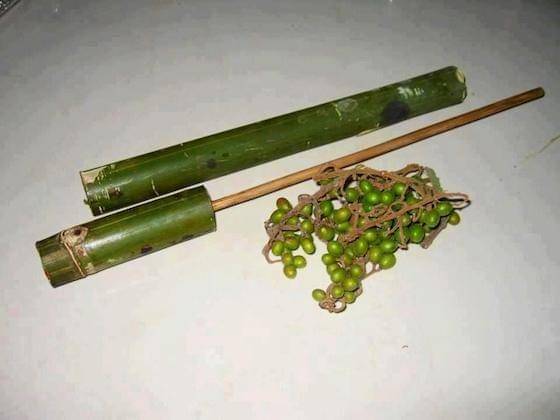 Senapan bambu, peluru kacang ijo - upload.wikimedia.org
