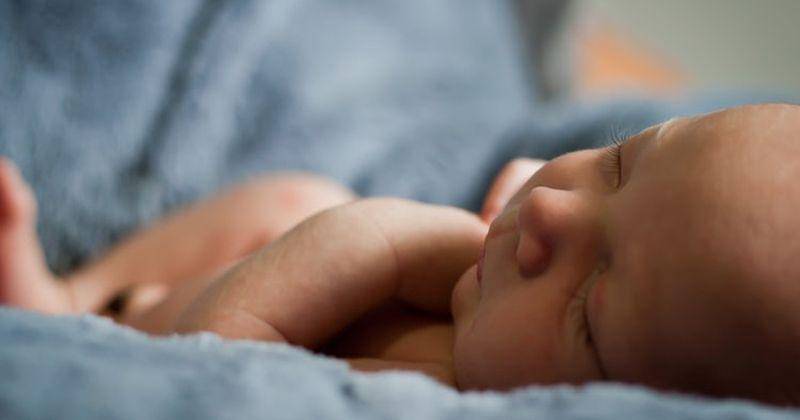 unsplash/Carlo Navarro