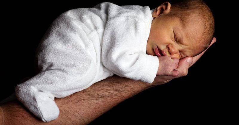 pexels/Public Domain Pictures