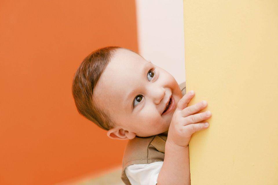 Ci luk ba! - pixabay/Stock Snap