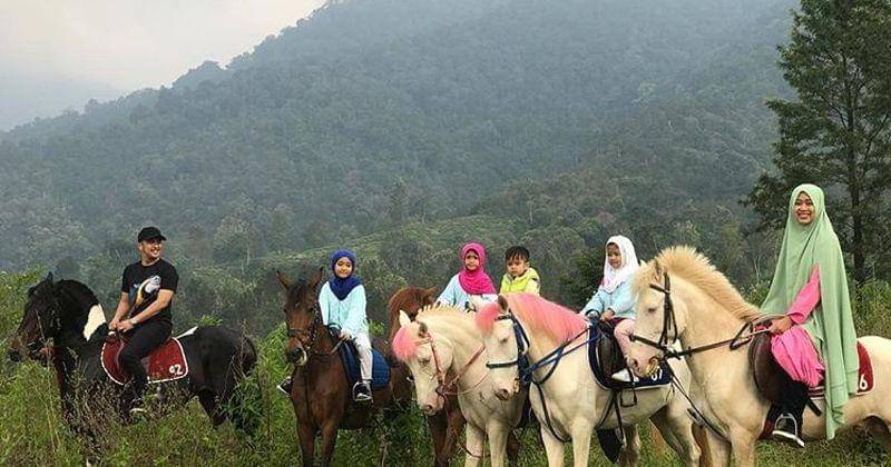 Instagram.com/irfanhakim75