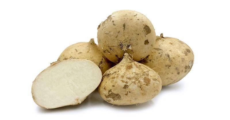 specialtyproduce.com