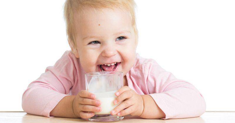 france-lait.com