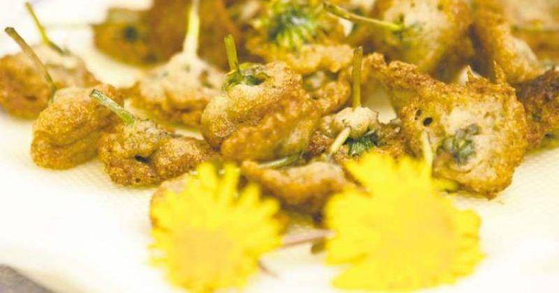 Homes.winnipegfreepress.com