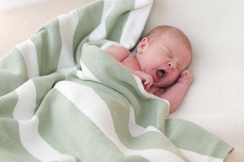 thestripycompany.co.uk