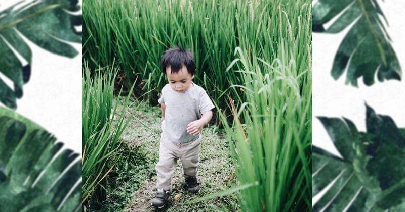 Instagram.com/DITTOPERCUSSION