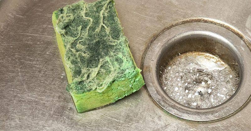 goodhousekeeping.com