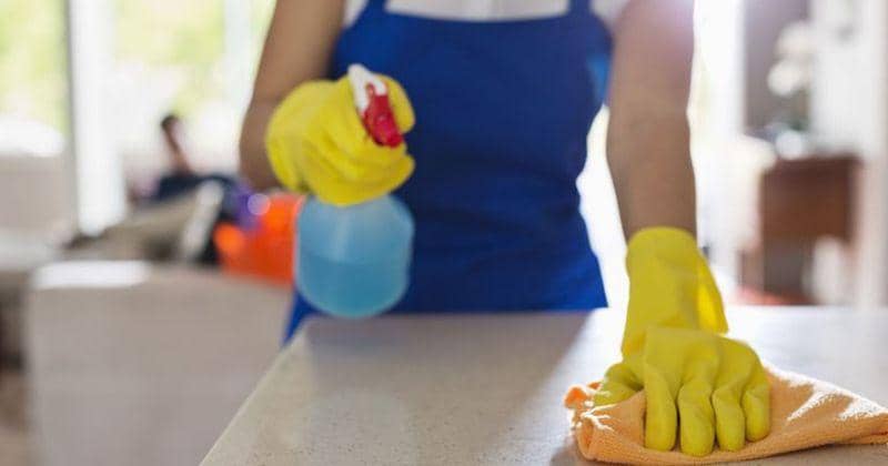 thespecialists.co.za