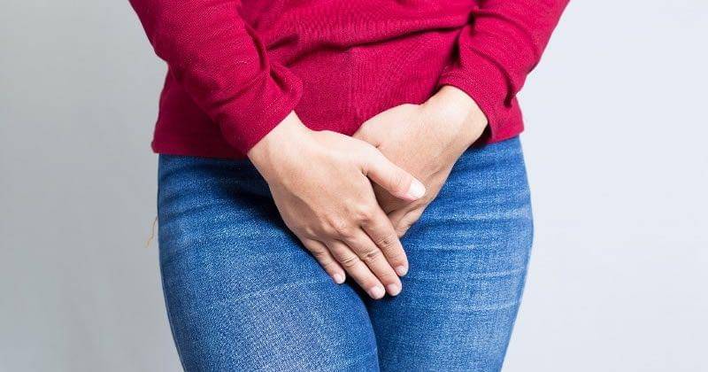 lasdietassaludables.com