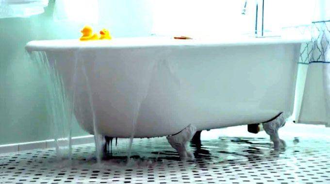 healthybynaturecalgary.ca