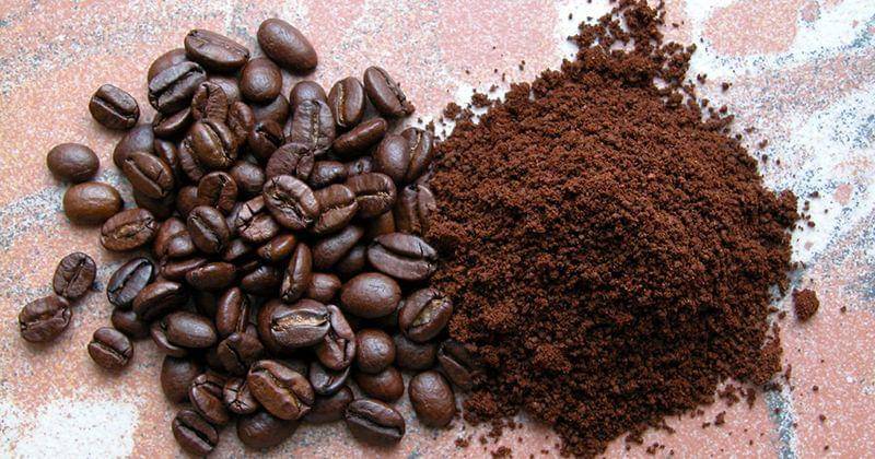 coffee.windowstorussia.com