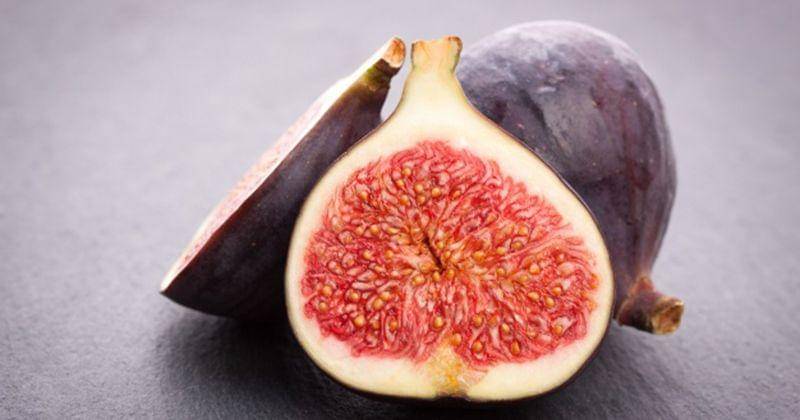 Freepik/valeria_aksakova