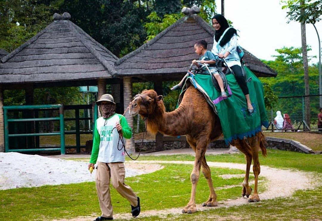 Lokasi: Jl. Harsono No.1, Pasar Minggu, Jakarta Selatan, Indonesia - Instagram.com/ragunanzoo