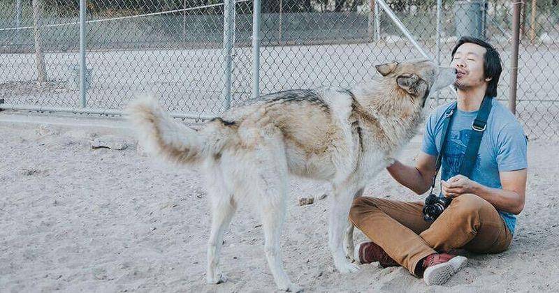 Instagram.com/airbnb