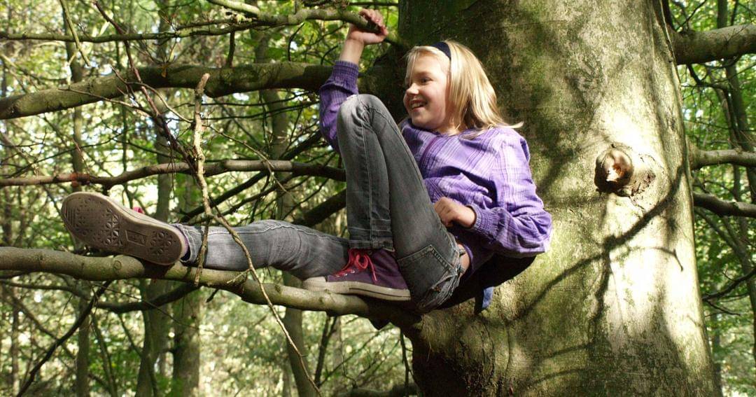 Upload.wikimedia.org