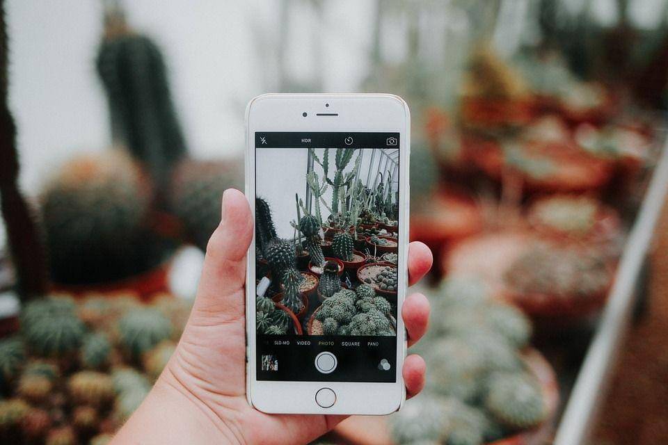 maxpixel.freegreatpicture