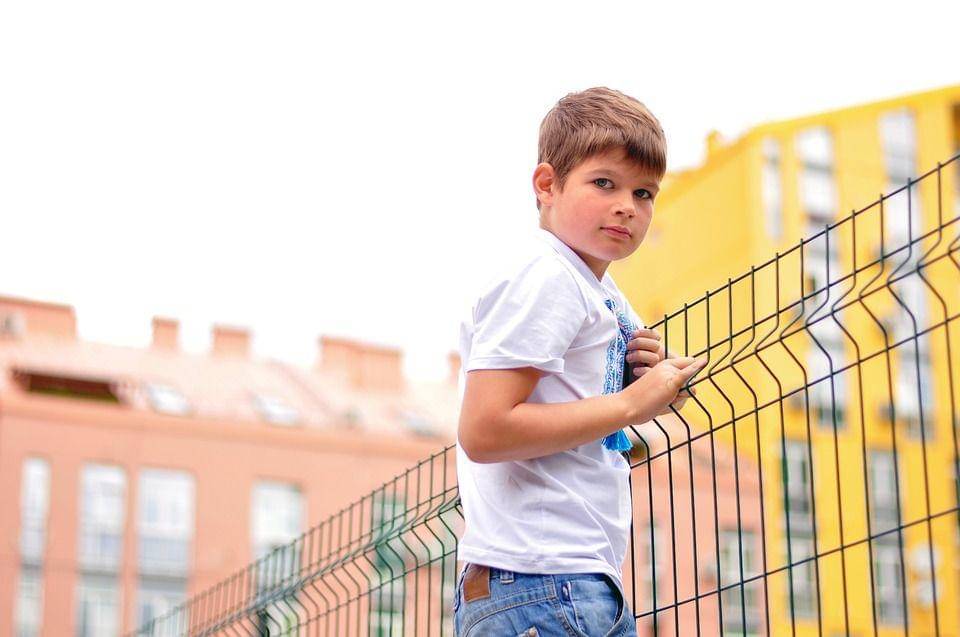 Pixabay/ Carol_Austin