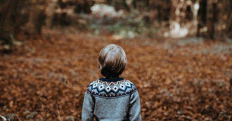 Unsplash/Annie Spratt