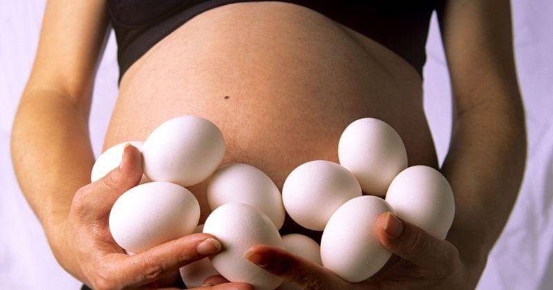 theplate.nationalgeographic.com