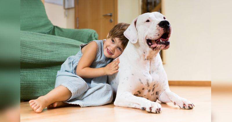 Dok.freepik/bearfotos