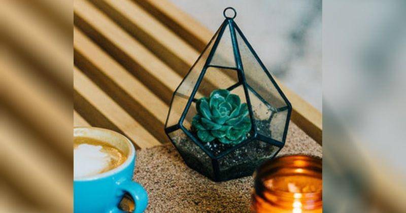 Unsplash/Mike Marquez