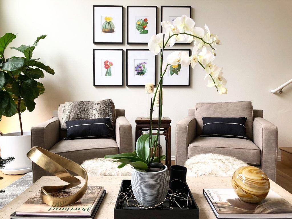 theconfessionsofaproductjunkie.com