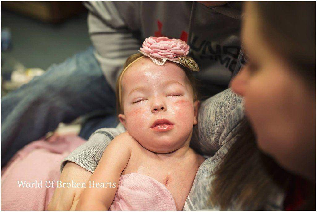 World of Broken Hearts/Suha Dabit