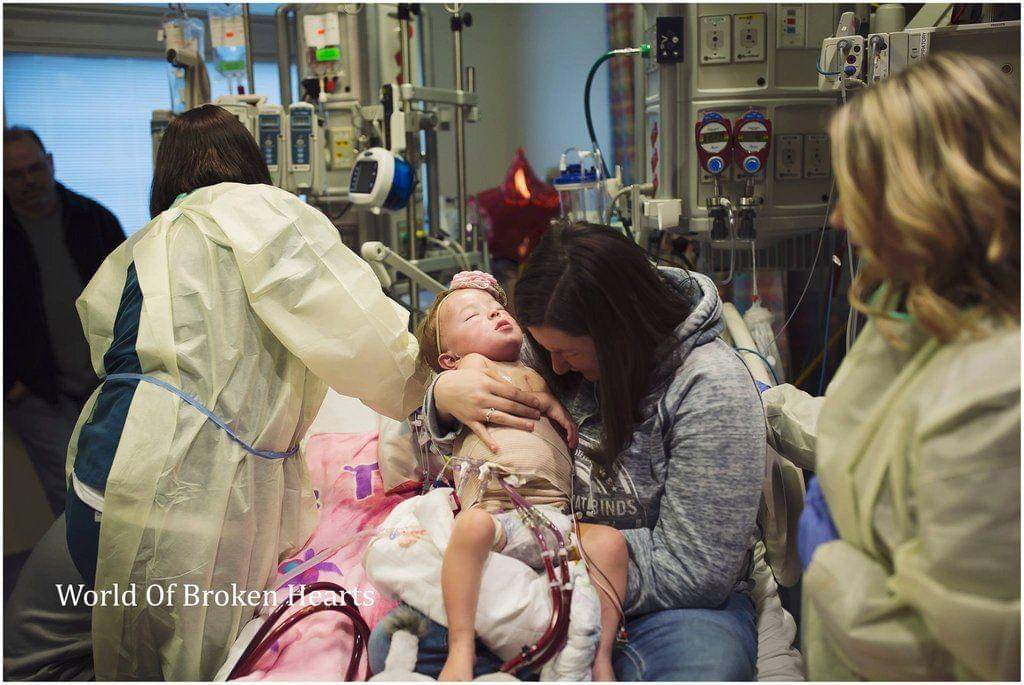 World of Broken Hearts/Suha Dabit