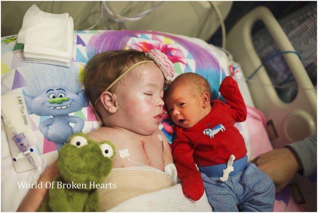 World of Broken Hearts/Suha Dabit