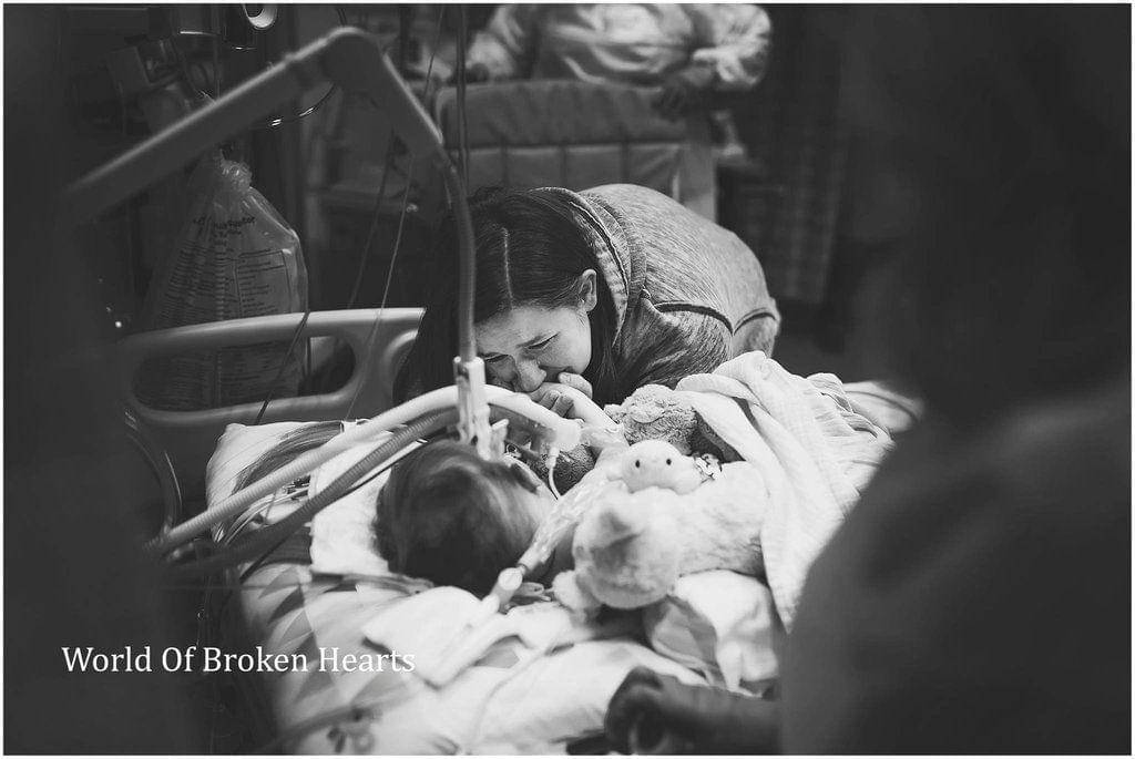 World of Broken Hearts/Suha Dabit