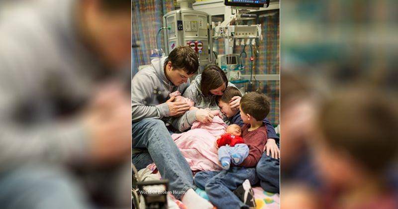 World of Broken Hearts/Suha Dabit