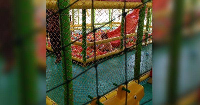 Instagram.com/playparq