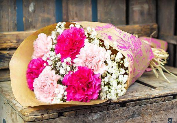 homebargainsflowers.co.uk